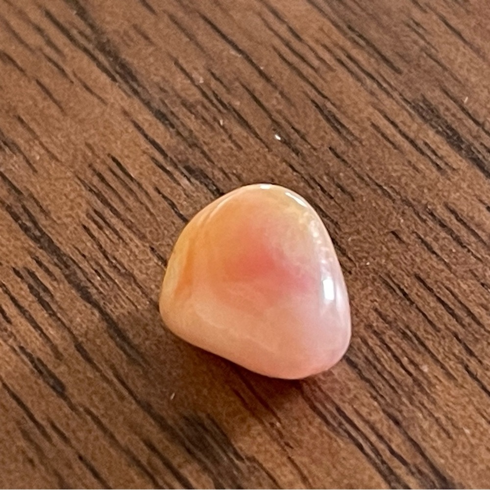 Queen conch pearl. Conch pearl.